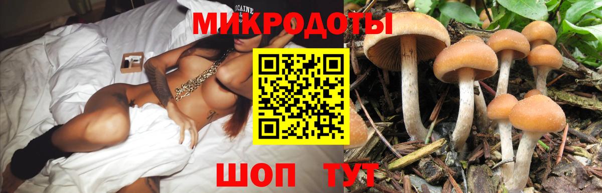 Ейск  Псилоцибиновые грибы мицелий  Вход с VPN 